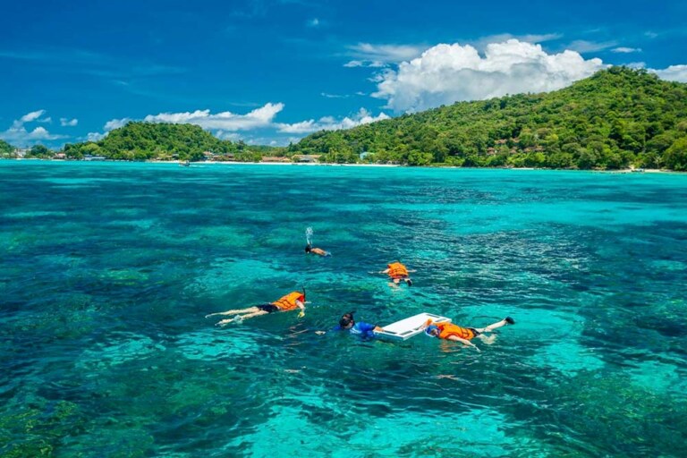 Snorkelling at the Phi Phi Islands